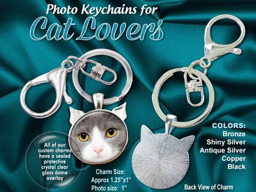 Cat Lover Charm Keychain, Photo Cat Keychain, Pet Cat Memorial Key Ring, Fur Baby Keychain, Pet Memorial Keepsake, Loss of Pet Remembrance