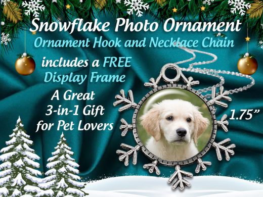 SPECIAL 3 Gifts in One -Personalized Pet Snowflake Photo CHRISTMAS Ornament with FREE Necklace Chain & Floating Display  Frame Gift Boxed