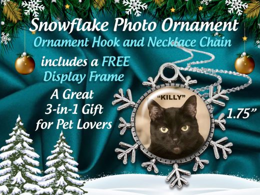 SPECIAL 3 Gifts in One -Personalized Pet Snowflake Photo Christmas Ornament with FREE Necklace Chain & Floating Display  Frame Gift Boxed