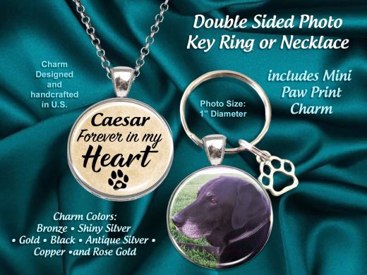 Double Sided, In loving Memory, Remembrance Sympathy-Memorial Gift, Personalized Pet Dogs Cats Photo Pendant or Keychain, Your Picture,